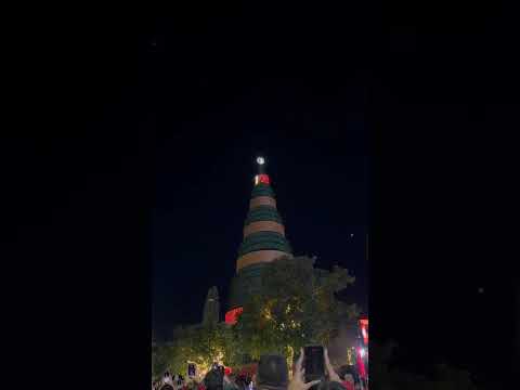 Asi fue la inauguración del Árbol de San Martin en San Salvador