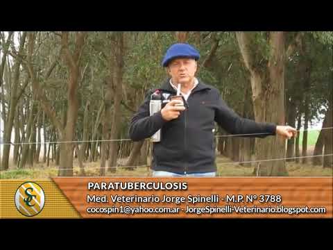 Dr. Jorge Spinelli - Paratuberculosis