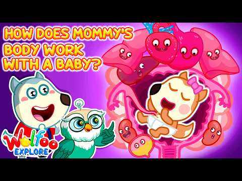 NEW| Wolfoo Explore 🔍 How Does Mommy&rsquo;s Body Work With A Baby? 🤰| Wolfoo Channel | Kids Cartoon