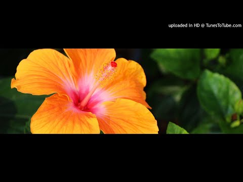 Come Closer (Exclusive Gentleman ft Ravinz)