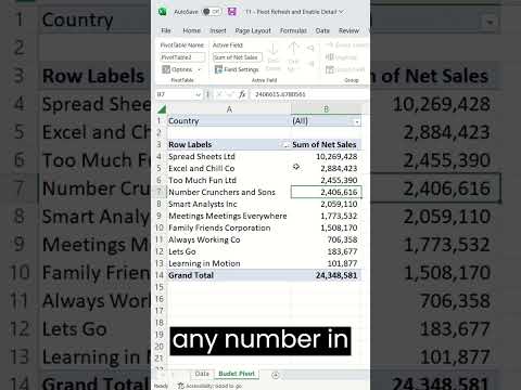 Advanced Pivot table tricks for Reporting and Analysis