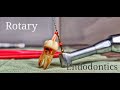 Rotary Endodontics
