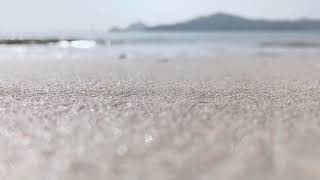 ただの海