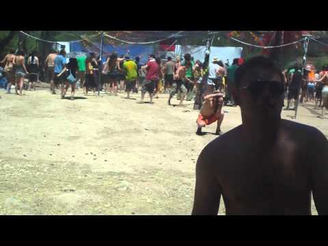 tree of life 2012 paliobillaki