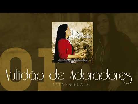 Ellis de Carvalho - Multidão de Adoradores | CD Multidão de Adoradores | #Espere4