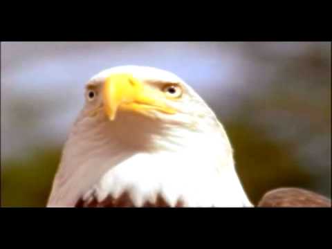 Fredy Ayisi Jaya Radha Madhava - yoga music