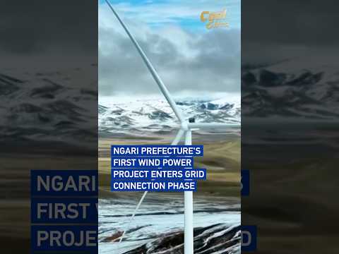 Ngari Prefecture's first wind power project enters grid connection phase#coolchina