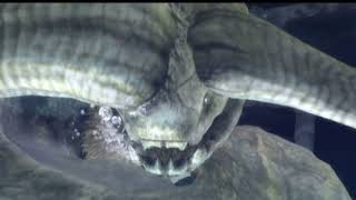 【モンスターハンターBGM】ナバルデウス戦闘BGM　一時間耐久　モンスターハンター3G
