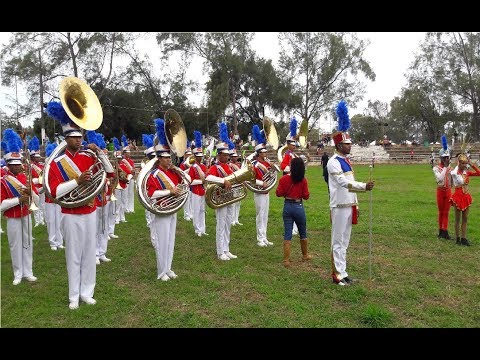 BAMUCA - I CONFAMUPI 2017 Afab- Bahia ( Banda Show )