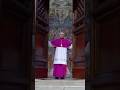 Sistine Chapel Doors Close As Vatican Conclave Beings