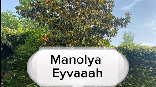 Manolya Ağacı mı dikeceksiniz?  Bir Kez Daha Düşün