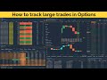 How to track large option trades