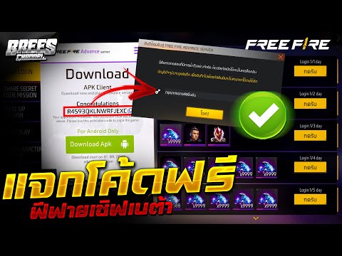 ฟีฟายแอดวานซ์