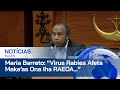 PN Husu Governu “Urjente” Halo Prevensaun Virus Rabies Iha Timor Leste
