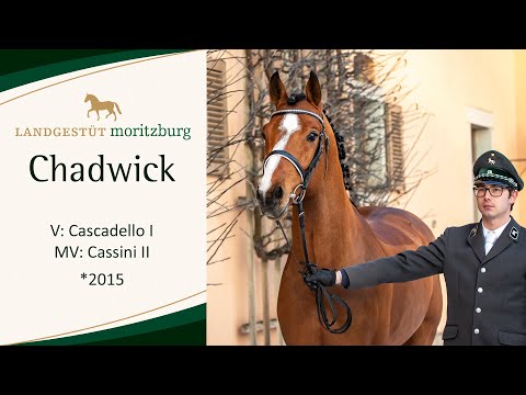 CHADWICK v. Cascadello I - Cassini II