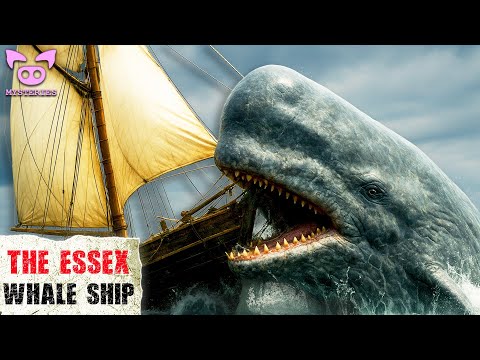 Surviving the Unthinkable: The Incredible Tale of the Essex Whaling Ship