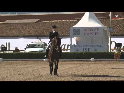 Esther Brühe & Quebec, Young Riders Freestyle, CDI3*, Barcelona Spring Tour 2014