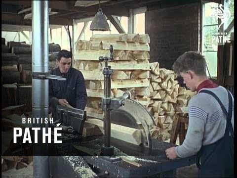 Out Takes / Cuts From Cp 390 - Reel 1 Of 2 - Cricket Bats (1962)
