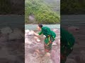Assamese New Song Instagram Reels Zubeengarg Assamesesongnew Ytshort Shortsfeed Shortfeed
