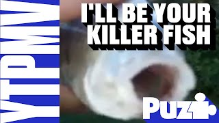 Cover art for Killer Fish SONG