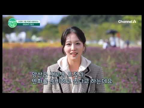 비디오 13