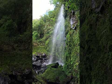 🚩 Cascata dos Xaxins - Cerro Branco RS #trip #nature #paisagemnatural