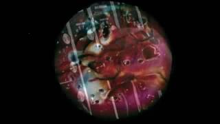 BLUE BOSS - SAMPA THE GREAT X VULTURE ST TAPE GANG REMIX