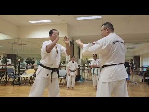Ashihara Karate: Introduction to Body Positioning (tai sabaki | 体捌き)