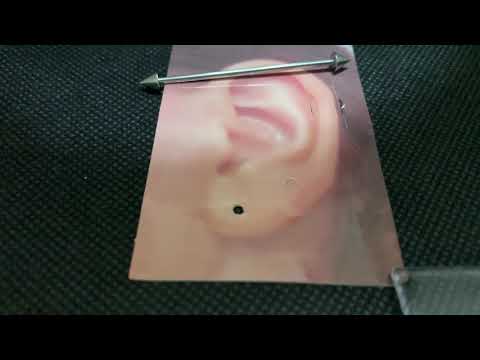 ニップルピアスについて詳しく解説