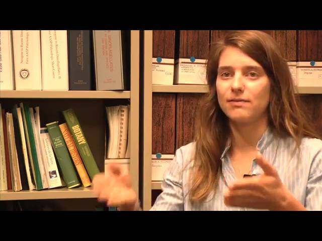 Lire le passé dans les cernes d’arbres