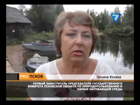 Продолжается очистка акватории Псковского озера от брошенных рыболовных сетей