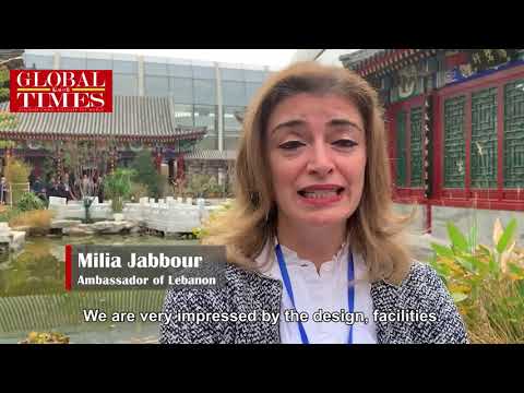 Foreign ambassadors thoroughly compliment Beijing Daxing International Airport