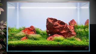 Red Cliff Iwagumi: Cinematic Aquascape Tutorial 4K