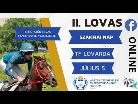 II Lovas Szakmai Nap  - TF Lovasközpont Kecskemét #2