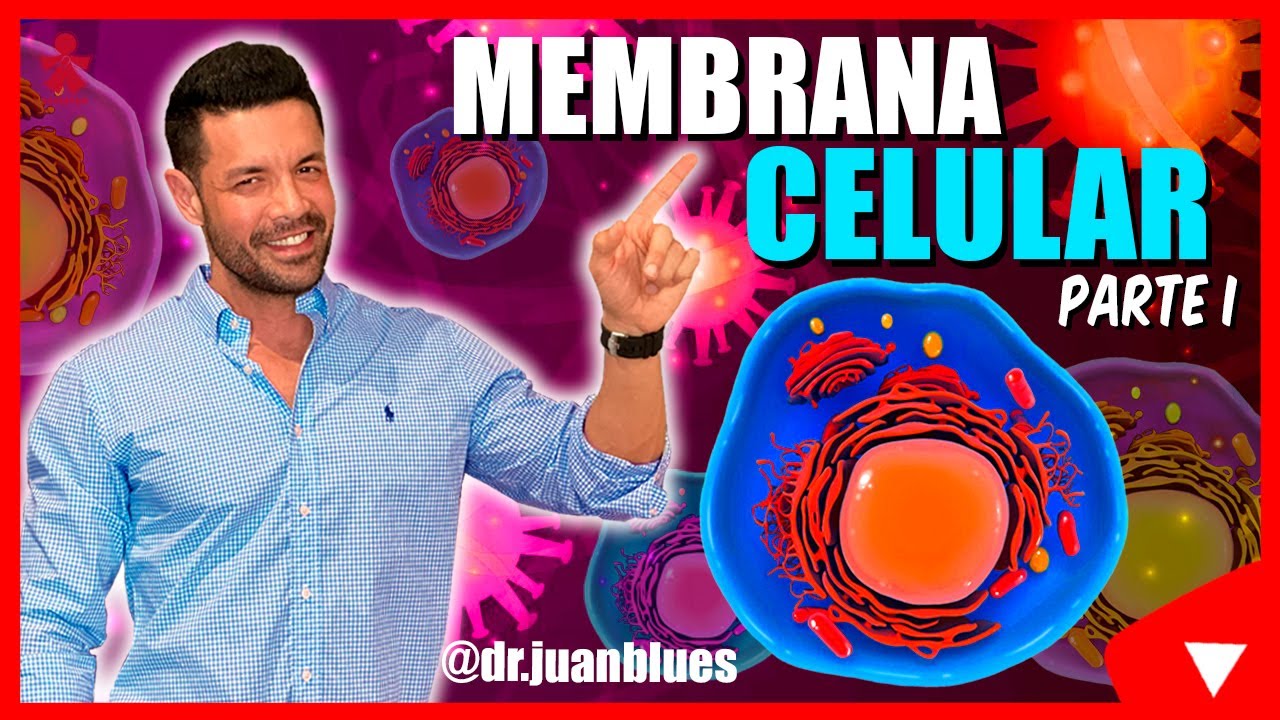LA MEMBRANA CELULAR : ESTRUCTURA Y FUNCIONES