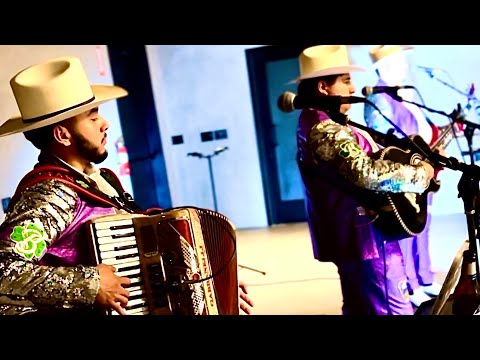 P1 de la Lima- Los Belicos de Culiacan