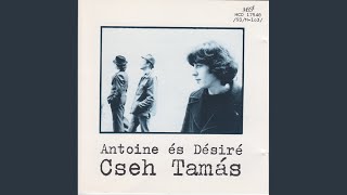 Antoine és Désiré: A 74-es év