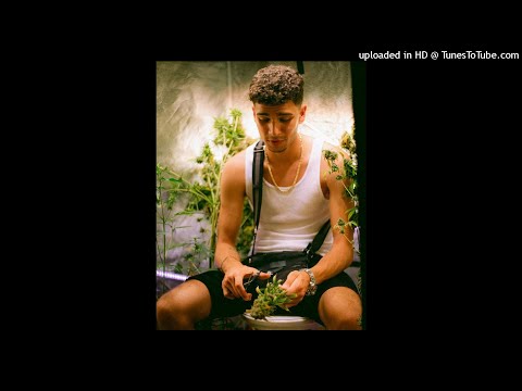 [FREE] Lucio101 x Nizi19 x Omar101 x Karamel19 Type Beat - "Pflanze" (prod. nyma beats)