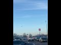 Seagulls Flying In Walmart Parking Lot It S Like Their At Every Walmart
