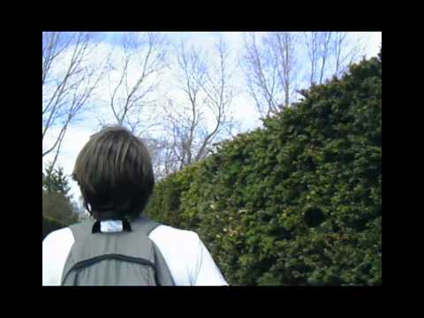 Kirschblütenfest 2013 (Cosplay,Blödsinn & Aufruf zur Leipziger Buchmesse 2014)