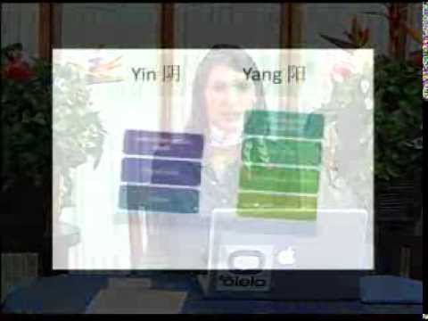 Yin Yang Concept - Traditional Chinese Medicine and Acupuncture