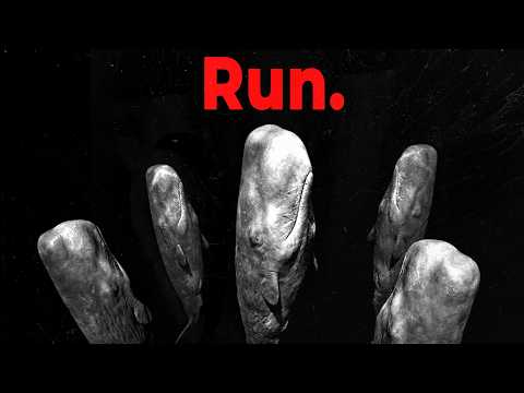 Why Orcas Are Terrified of Sperm Whales