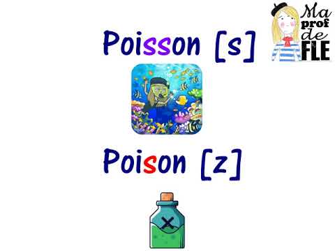 Les sons [s] et [z] – Ma prof de FLE