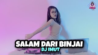 Download lagu DJ SALAM DARI BINJAI || ASIK BUAT PARGOY (DJ IMUT REMIX) mp3
