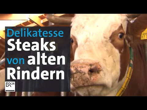 Delikatesse XO Beef: Fleisch von alten Rindern - 75 Euro pro Kilo | Abendschau | BR24