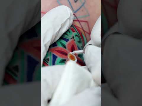 Multi Layered Dancheong - PittaKKM