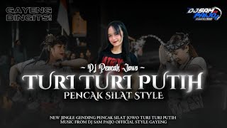 Download lagu DJ PENCAK JOWO‼️TURI TURI PUTIH DITANDUR ING KEBON AGUNG BY DJ SAM PAIJO  mp3