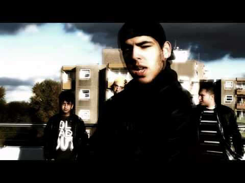 GOLDVIDEOZ Nr.2 - ALPI-G65 (16er+Hook)