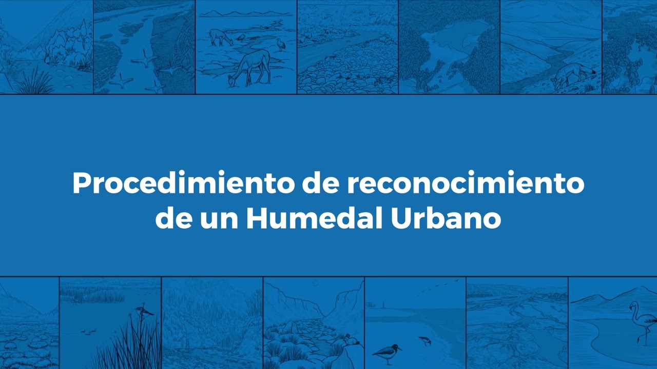 HUM2 M4V4 Reconocimiento de humedal urbano a solicitud de municipio