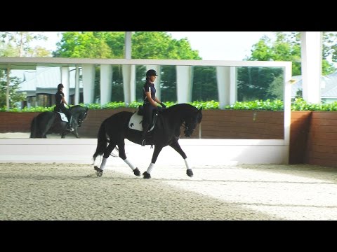 Tia Maria in Wellington, FL - February 2017, SOLD